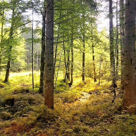 Ferienwohnung - Missen-Wilhams Allgaeu المظهر الخارجي الصورة